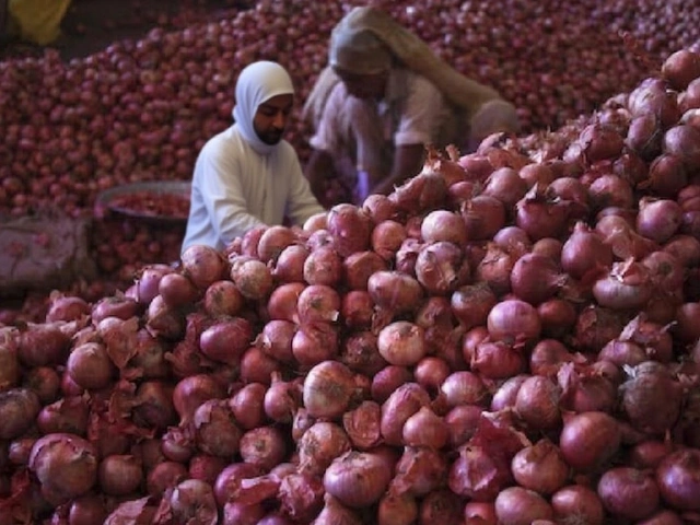 Pakistan Sets 2.78 Million Tons Onion Production Target for 2025-26 Amid Record Growth